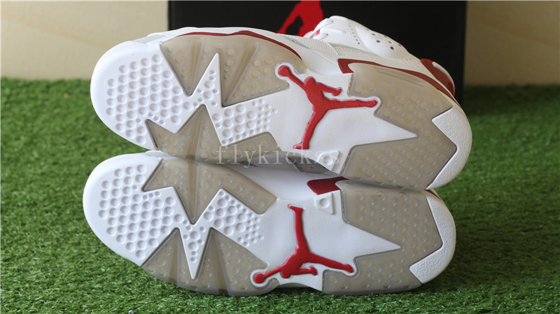 Air Jordan 6 Retro Hare Alternate